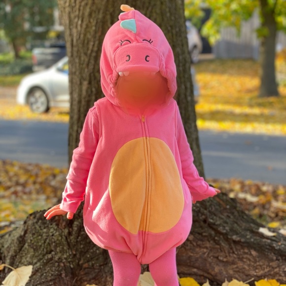 Carter's Other - Pink Dinosaur Costume 24 mo